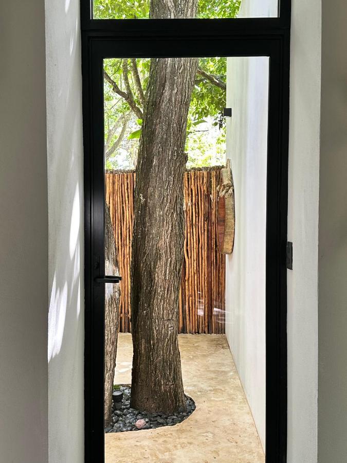Casa Arabe Villa Cenote Azul Екстериор снимка
