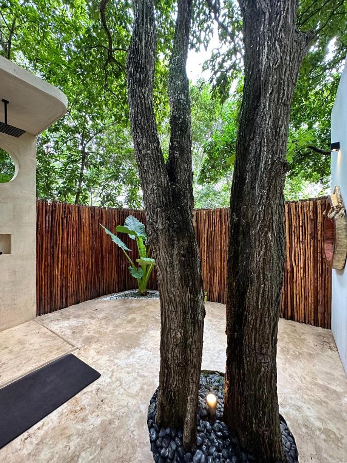 Casa Arabe Villa Cenote Azul Екстериор снимка
